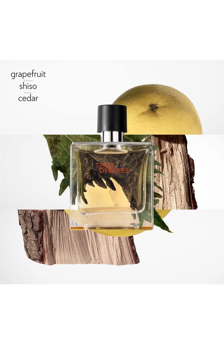TERRE D'HERMES by Hermes PARFUM SPRAY for Men