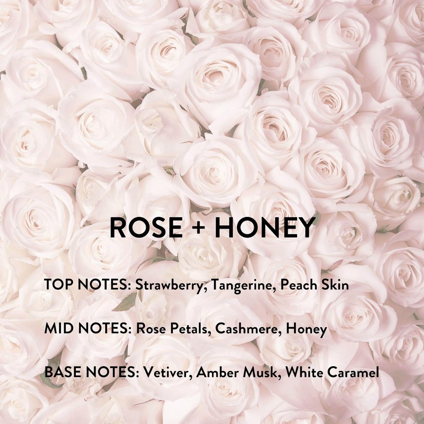 Michael Malul Rose + Honey Eau de Parfum for Women - 100ml | 3.4oz