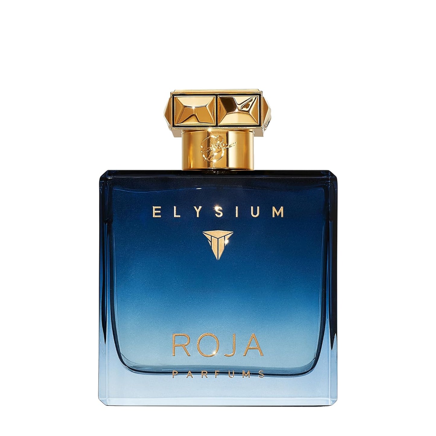 Roja Elysium Parfum Cologne Spray 3.3 oz for Men