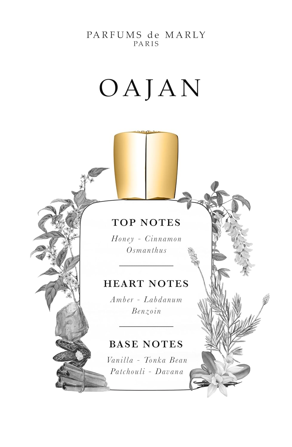 Parfums de Marly Oajan Eau de Parfum – Parfum for Men – 4.2 Fl Oz