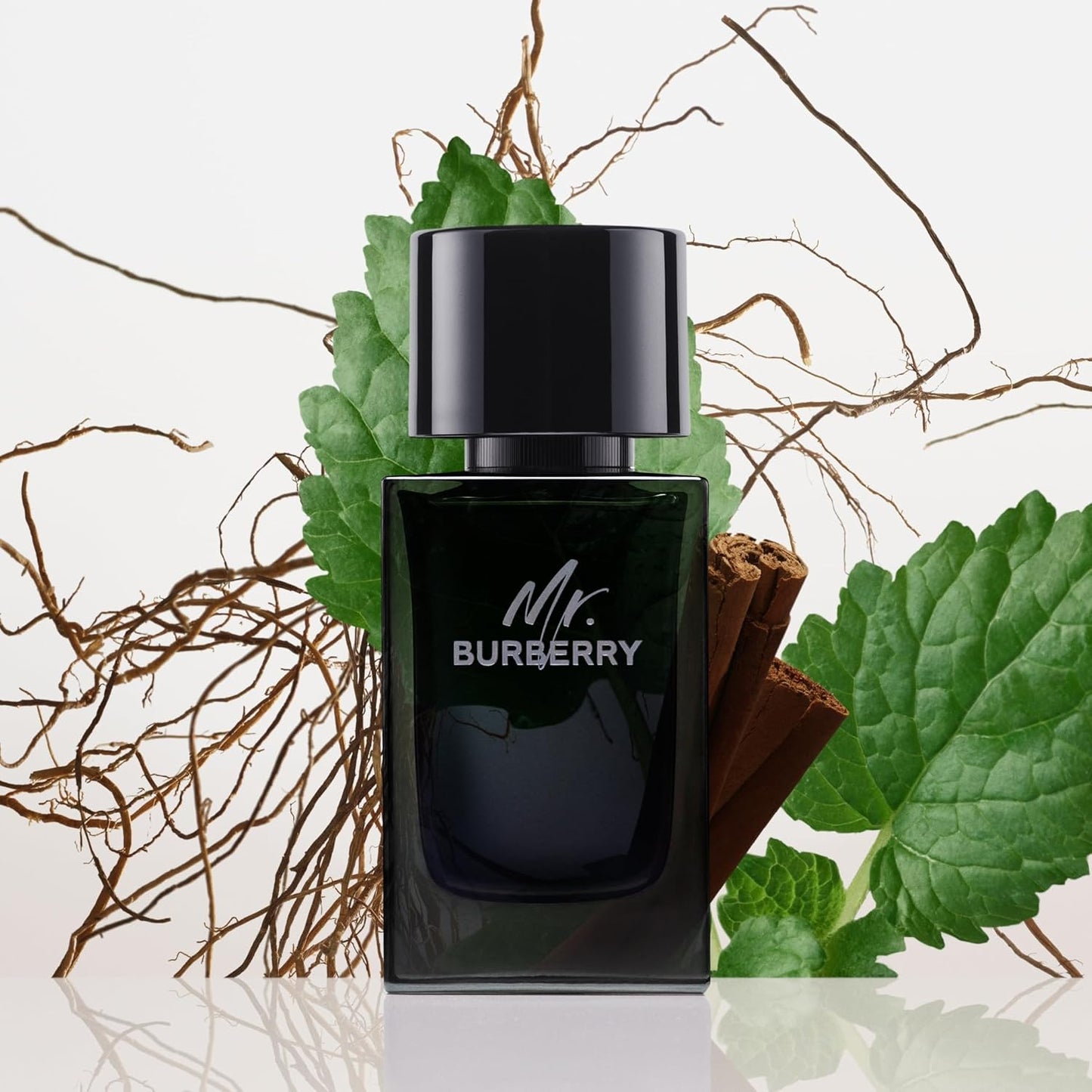 Mr Burberry Eau De Parfum Spray for Men