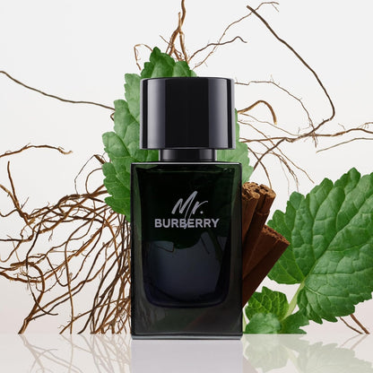 Mr Burberry Eau De Parfum Spray for Men