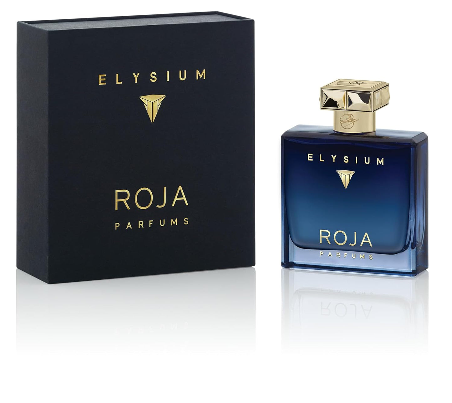 Roja Elysium Parfum Cologne Spray 3.3 oz for Men