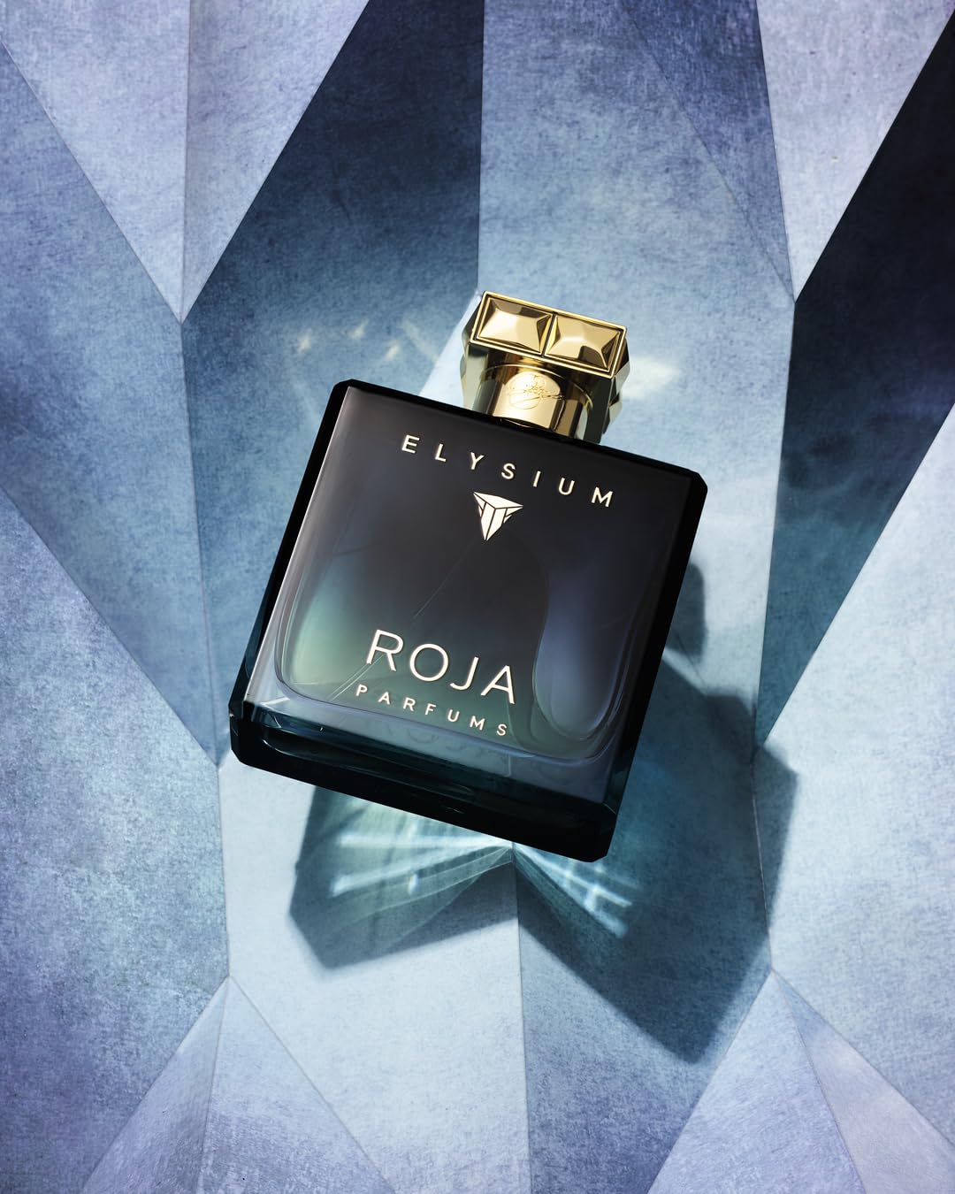 Roja Elysium Parfum Cologne Spray 3.3 oz for Men