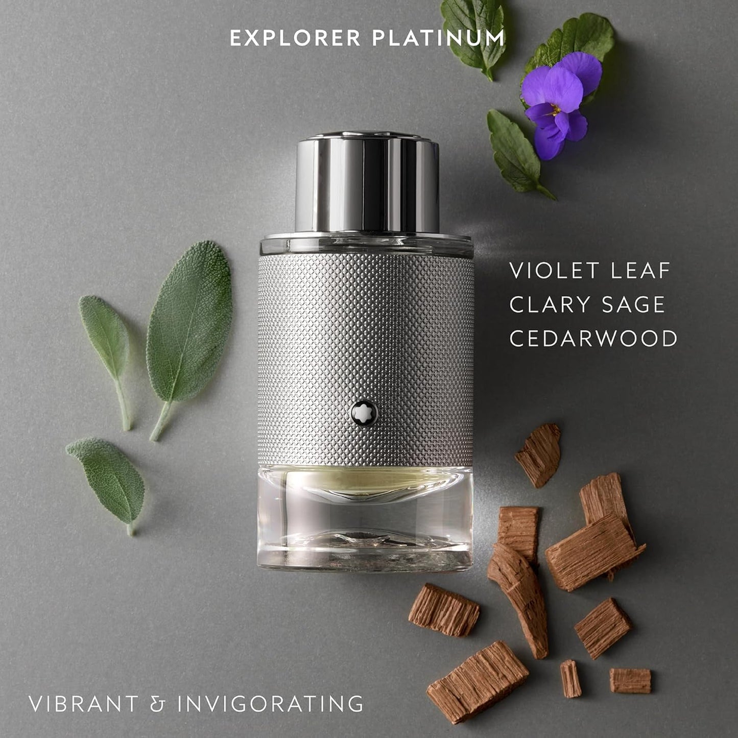 MONTBLANC - Explorer Platinum Men's Eau de Parfum